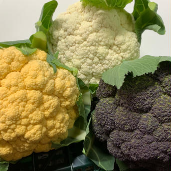 淡路島からのカリフラワー3つ　特別栽培農産物 カリフラワー3つ 野菜/その他野菜通販