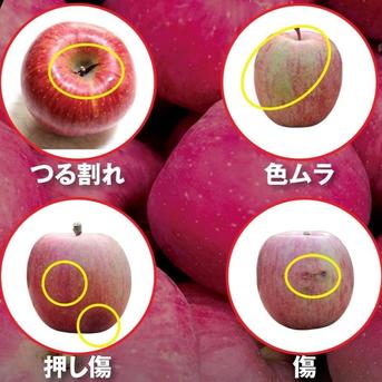 販売中】青森県産りんご 「サンふじ」 ご家庭用 傷あり 約5kg ｜ 果物