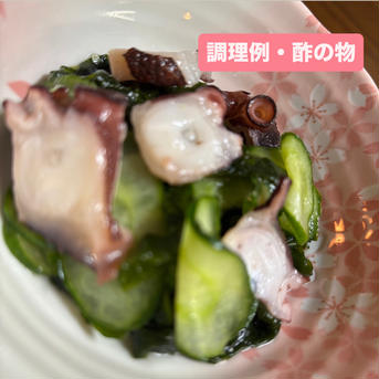 瀬戸内海産・産地直送『まだこ』 1.5〜1.7kg(内臓処理前の重量です。） 魚介類/タコ通販