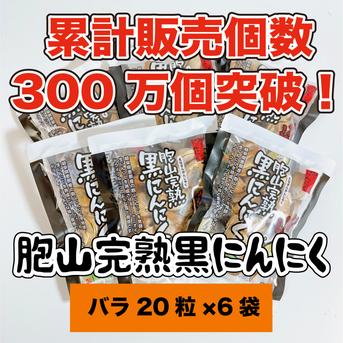 国産完熟黒にんにく【送料無料】バラ20粒×6袋 20粒　6個入り 加工品/その他加工品通販