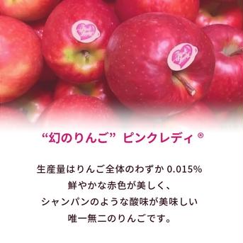 ピンクレディ3キロ箱A品B品ミックス 2.4キロから3キロ 果物/りんご通販