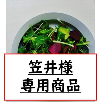 笠井様専用商品 40gx4ﾊﾟｯｸ 野菜/葉物通販