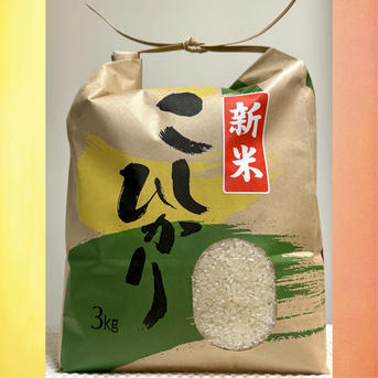 白米】 令和8年丹波篠山産コシヒカリ 3kg ｜ 米・穀物/米/精米 産直