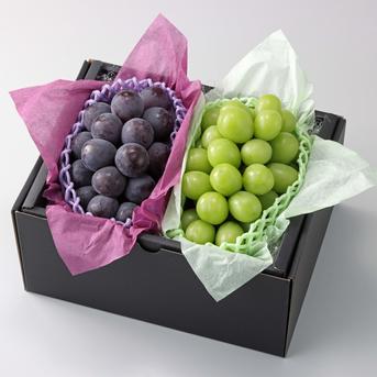 こだわり厳選葡萄】ニューピオーネ&シャインマスカット 約2.4kg | 果物