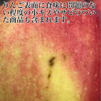 たっぷり果汁と優しい甘味　木村農園　謹製　葉とらずつがる3kg(りんご約9個前後) 3kg(りんご約9個前後) 果物/りんご通販