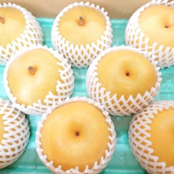 贅沢な美味しさ！新美月・新王詰め合わせ 約5kg  2種合計 約5kg(9〜20個入り) 果物/梨通販