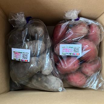 ☆有機JAS認証☆こだわりじゃがいも2種セット850g×2 | 野菜/じゃがいも