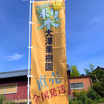 梨 幸水 秀品 5キロ 10個入 ｜ 果物/梨 産直アウル 農家・漁師など生産