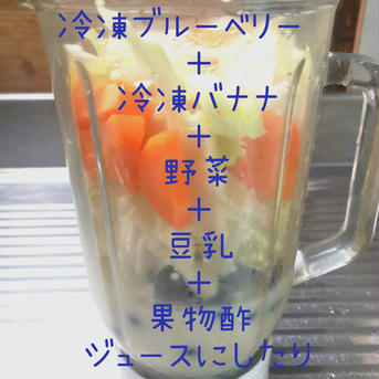 里の恵　ブルーベリー １㎏ 果物/ベリー類通販