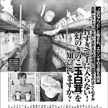 whitelabel001 玉白茸 1本160gUP×3本 野菜/きのこ通販