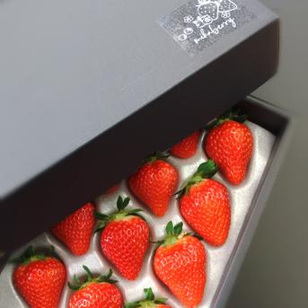 mikaberryのいちごBOX ｜ 果物/いちご 産直アウル 農家・漁師など生産