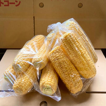 【ちょっと訳あり！】たまの農園のスイートコーン15本！※関東、信越、中部地方向け発送 15本(約4kg~4.5kg) 野菜/とうもろこし通販