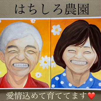 ころたん（小型メロン）2個＋おまけの新鮮野菜【限定5箱】 ころたん2個＋おまけの新鮮野菜 果物/メロン通販