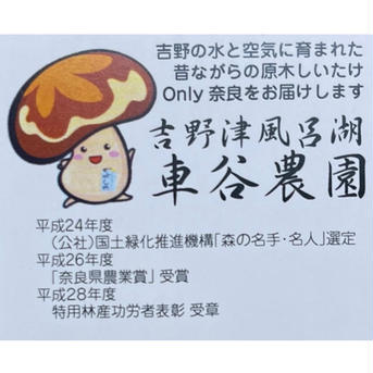 原木干し椎茸700g 700g 野菜/野菜の加工品通販