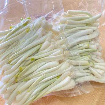 全て手作業　島らっきょう　 500グラム 1パック(500g) 野菜/その他野菜通販