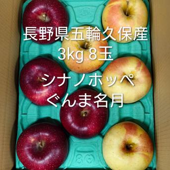 長野県 五輪久保産ぐんま名月×シナノホッペ 3kg贈答品8玉 | 果物