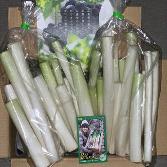 ネギ農家になる!「白ネギ」2㎏細めとろ〜り柔らか♡アヒージョやカレーに♪こだわり堆肥カットネギ♪ 2㎏80サイズ白ネギカット可食部の白いとこ多め箱づめ 野菜/ねぎ通販