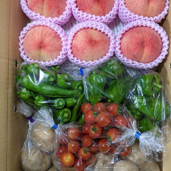 アマトウガラシ、ジャガイモ、トマト、ピーマン、桃 3960g 野菜/野菜セット・詰め合わせ通販