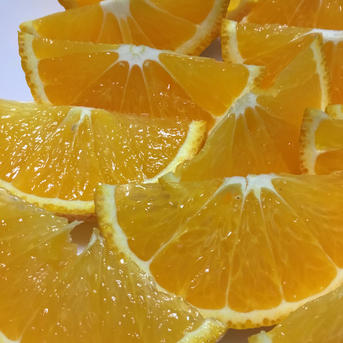 8.5kg)×2箱セット/スイートスプリング | 果物/オレンジ・その他みかん