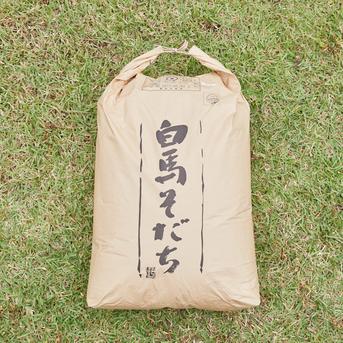 新米！予約販売 ミルキークイーン 25kg 令和8年産特別栽培米 特別優秀