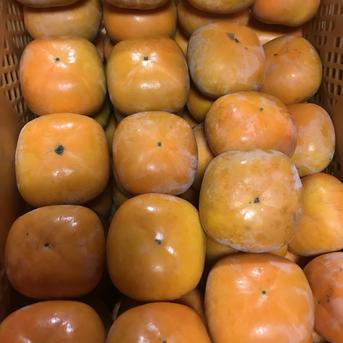 【全国送料無料】M〜Ｌサイズのサイズミックス和歌山県産たねなし柿(平核無)5kg箱 訳あり М〜Ｌサイズのサイズミックス5kg箱。各サイズをだいたい半分ずつ位お詰めします。 果物/柿通販
