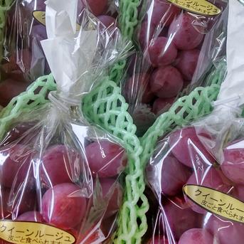 希少品種！長野県限定「クイーンルージュ」！ 約800g 果物/ぶどう通販