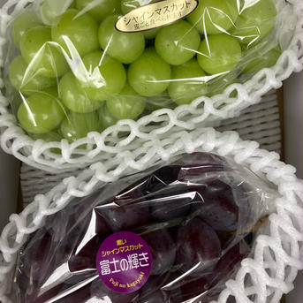すぐ発送！大房2色ぶどう食べ比べセット！　超希少新品種富士の輝700g1房シャインマスカット800g1房合計1.5キロ以上 輝700g1房シャイン800g1房合計1.5キロ 果物/ぶどう通販