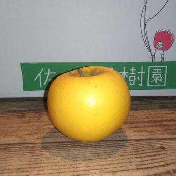 旬のりんご詰め合わせ【5kg箱】 約4.5~5.5kg(12~16玉) 果物/りんご通販