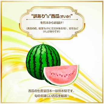 【選果落ち 訳あり商品】   熊本 すいか 1玉 約4Kg 2Lサイズ以上 規格外 家庭用 贈答不可 加工用  (002) 西瓜  熊本県産 果物 フルーツ  1玉  約4Kg 箱込み 果物/スイカ通販