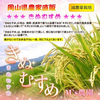 2026年 岡山県産 きぬむすめ 20kg 玄米 ｜ 米・穀物/玄米 産直アウル