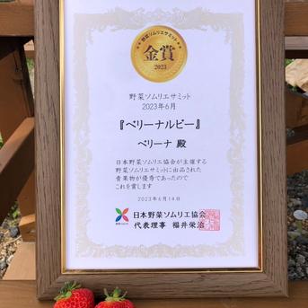[金賞受賞]Mサイズ2箱（60玉）長野産夏いちご”ベリーナルビー（信大BS8-9） 2箱（30玉×2　約600g） 果物/いちご通販