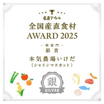 贈答用シャインマスカット2kg（3～4房）【銀賞受賞】／本気農場いけだ 約2kg（3～4房） 果物/ぶどう通販