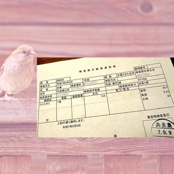 白米】令和7年丹波篠山産コシヒカリ 10kg | 米・穀物/米/精米 産直