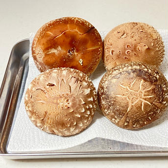 肉厚ジャンボしいたけ1000g 1000g 野菜/きのこ通販