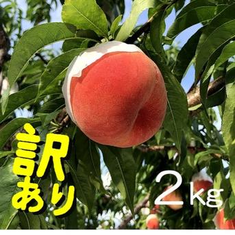 旬祭限定】＊送料割引＊ 南アルプスの桃 訳あり2キロ 減農薬/無肥料