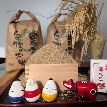 限定1セット　25kg　玄米　お米　令和7年産　茨城産　うるち米　最安値　お得 令和7年産 会津米 虹のきらめき 玄米 25kg ｜ 米・穀物/玄米 産直