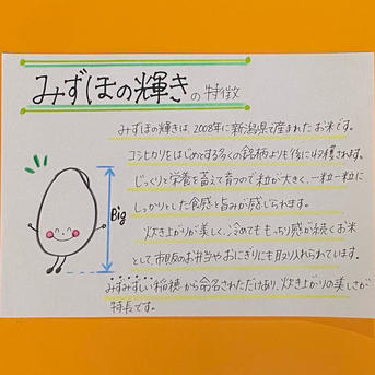 令和7年産 みずほの輝き ｜ 米・穀物/米/精米 産直アウル 農家・漁師