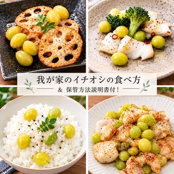 2026年＊初物》祖父江産 銀杏 【久寿】大玉3Lたっぷり500g ｜ 野菜
