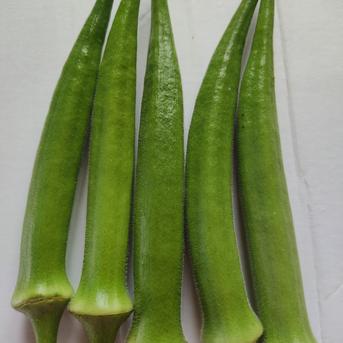 大自然の恵み｜朝採れ夏野菜5品おまかせセット｜夏の旬をまるごと
