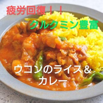 秋ウコン(生) 800グラム位 野菜/スパイス通販