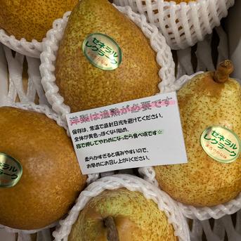 青森県産洋梨！ゼネラルレクラーク ｜ 果物/梨 産直アウル 農家・漁師
