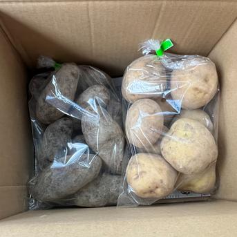 こだわりじゃがいも2種セット1.7㎏(850g×2袋) じゃがいも2種類850ｇ×2 野菜/じゃがいも通販