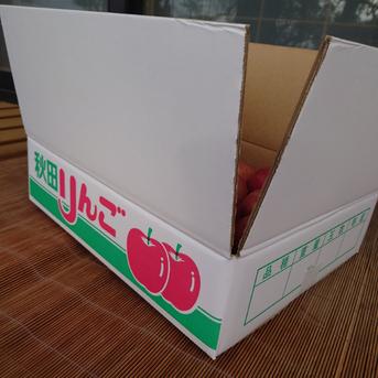 ✿サンふじ✿　秋田県産　5kg箱入り　18玉(中玉)　【家庭用】 【家庭用】「サンふじ」5kg箱入り(18玉) 果物/りんご通販