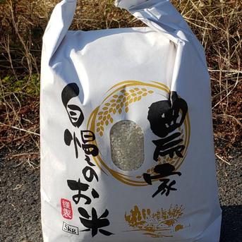 【3kg】令和6年2024年 新米 高知県産コシヒカリ♪ 3kg 米・穀物/米/精米通販