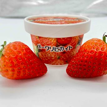 【冷凍いちご約2kg分おまけ特別キャンペーン！】【いちごアイス12個入＆冷凍いちご約2kg】【冷凍いちごの在庫がなくなり次第終了！】【旬祭限定】 アイス12個、冷凍いちご約2kg 加工品/アイス通販