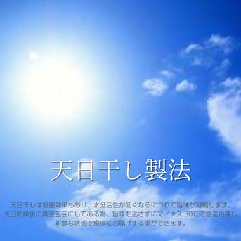 綱元漁師★天日干し干物ギフト箱セット カマス1Pイワシ開き1P目光1P鯵2Pノドグロ2P味醂干し2P 魚介類/魚介の加工品通販