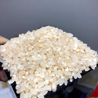 てぶく郎農園が減農薬栽培で育てたコシヒカリだよ。 ３０kg 米・穀物/玄米通販