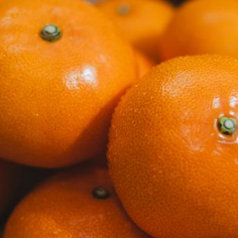 贈答用】柑橘の大トロ せとか 2kg ～とろける濃厚果実～ ｜ 果物