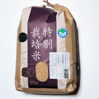 令和7年産 コシヒカリ 天然有機ミネラル栽培米　玄米11kg 精米全国送料込 名水極味米 7年産コシヒカリ 発芽用玄米20kg(10kg×2袋) 特別栽培1