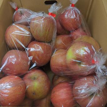 りんご訳あり現品限り8.5kg 8.5kg 果物/りんご通販